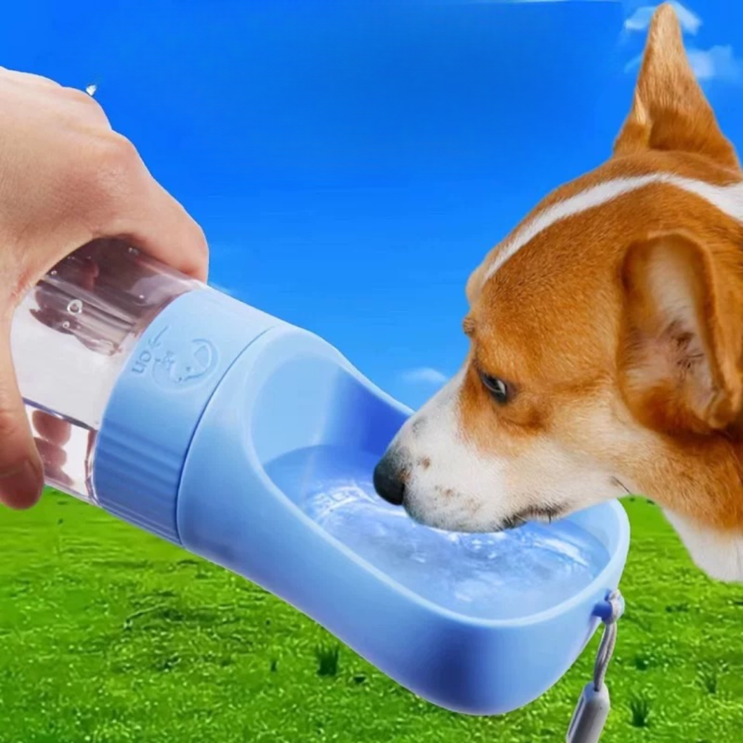 Bebedouro Lancheira