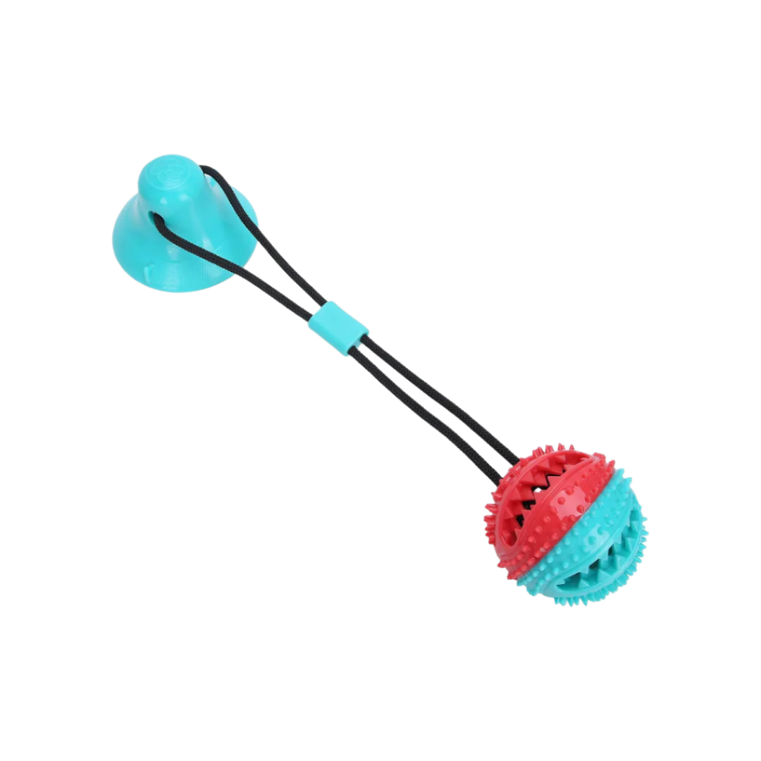 Brinquedo Bola para Mordidas com Base de Sucção para Cães