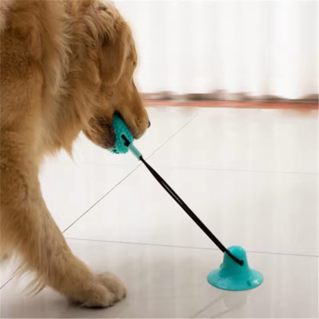 Brinquedo Bola para Mordidas com Base de Sucção para Cães