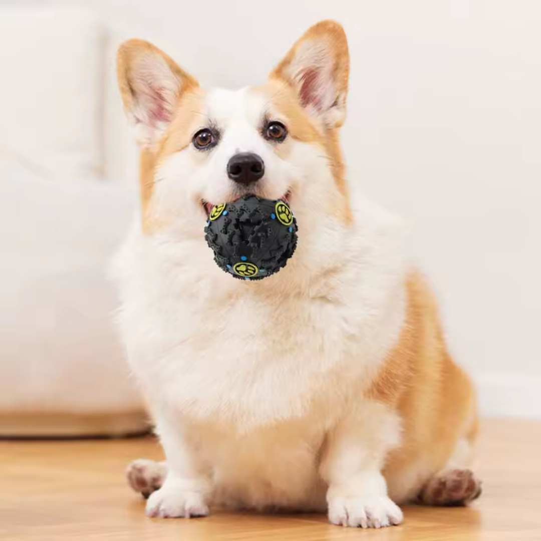Brinquedo Bola Petisqueira para Cães
