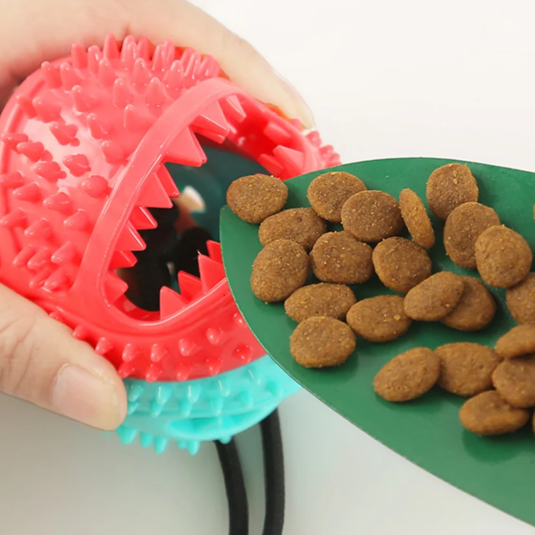 Brinquedo Bola para Mordidas com Base de Sucção para Cães