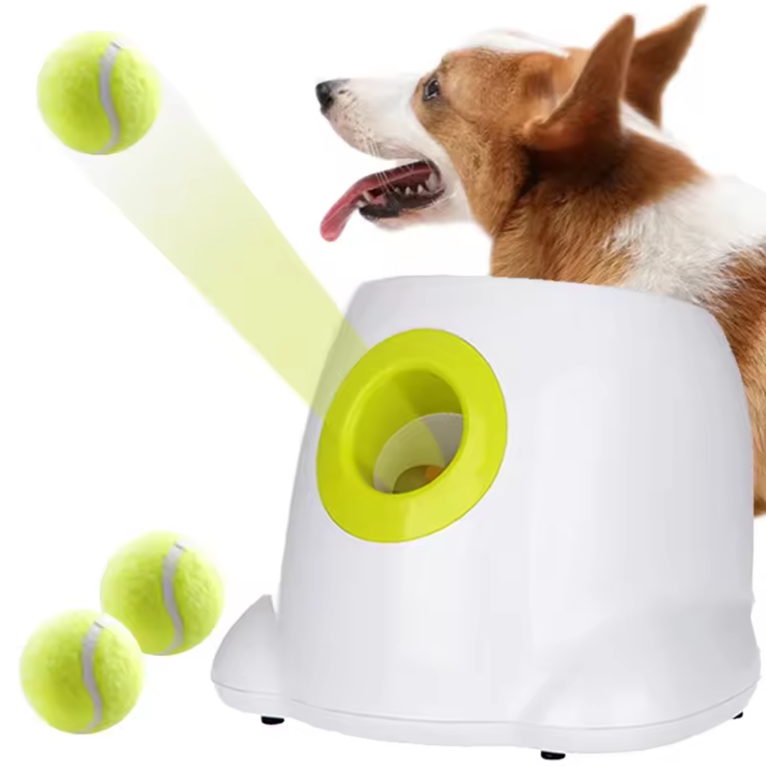 Lançador Automático de Bolinhas para Cães