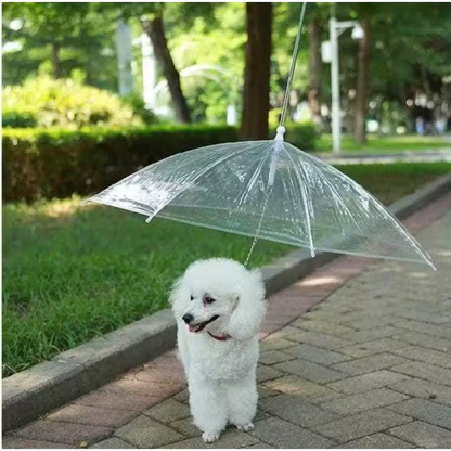Guarda Chuva Pet