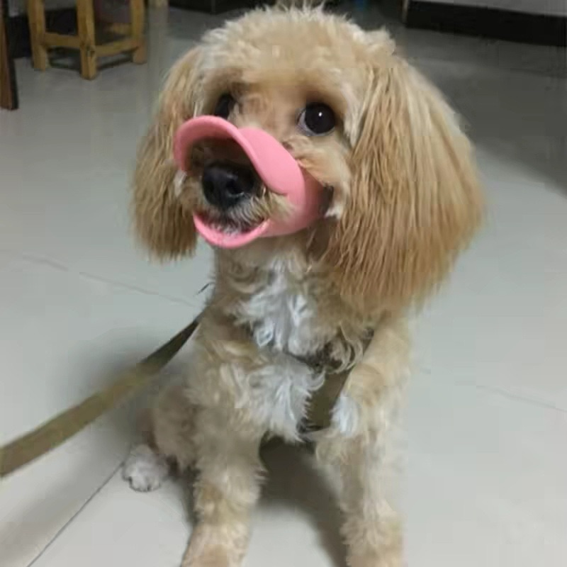 Focinheira Bico de Pato