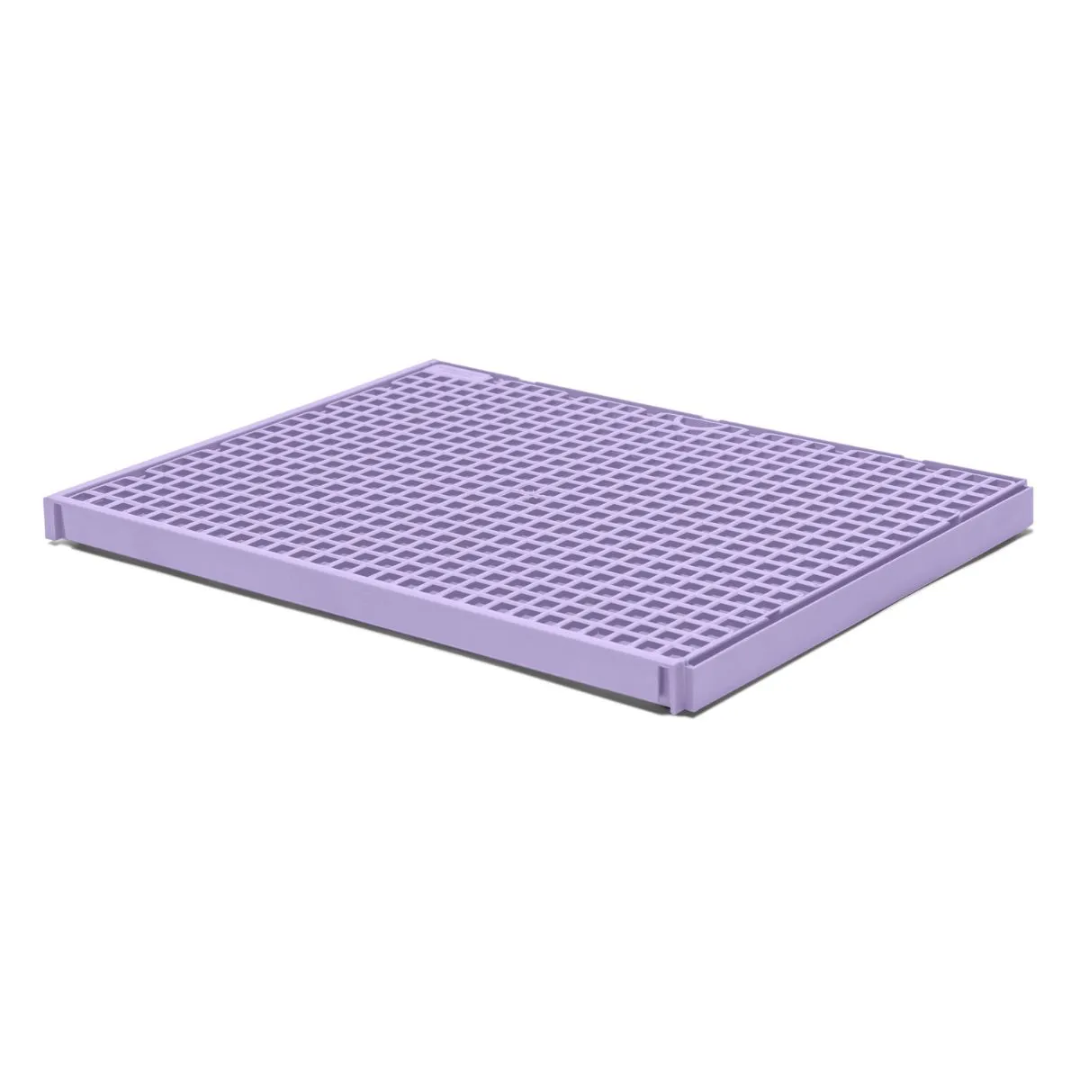 PIPI DOLLYS CANDY COLOR LILAS