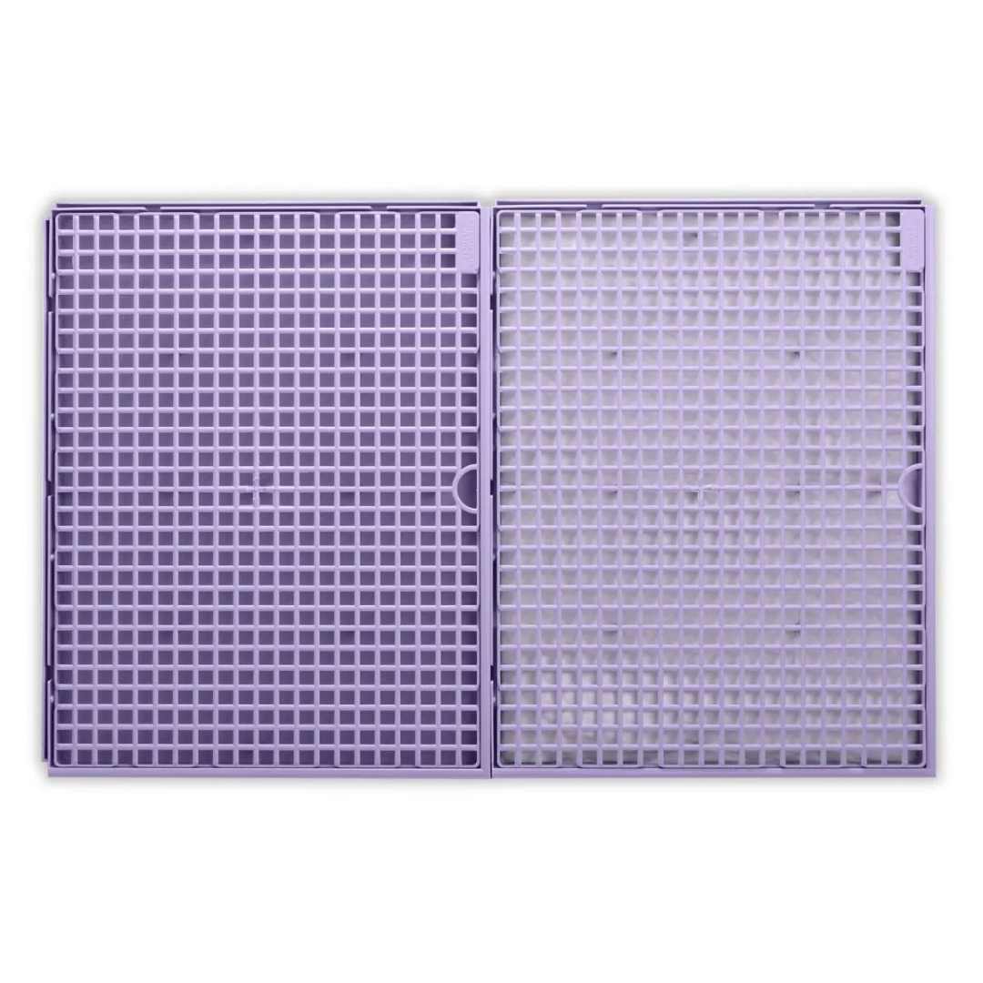PIPI DOLLYS CANDY COLOR LILAS
