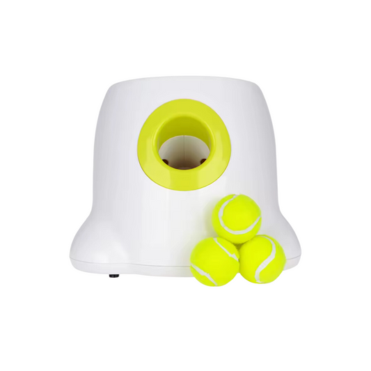 Lançador Automático de Bolinhas para Cães