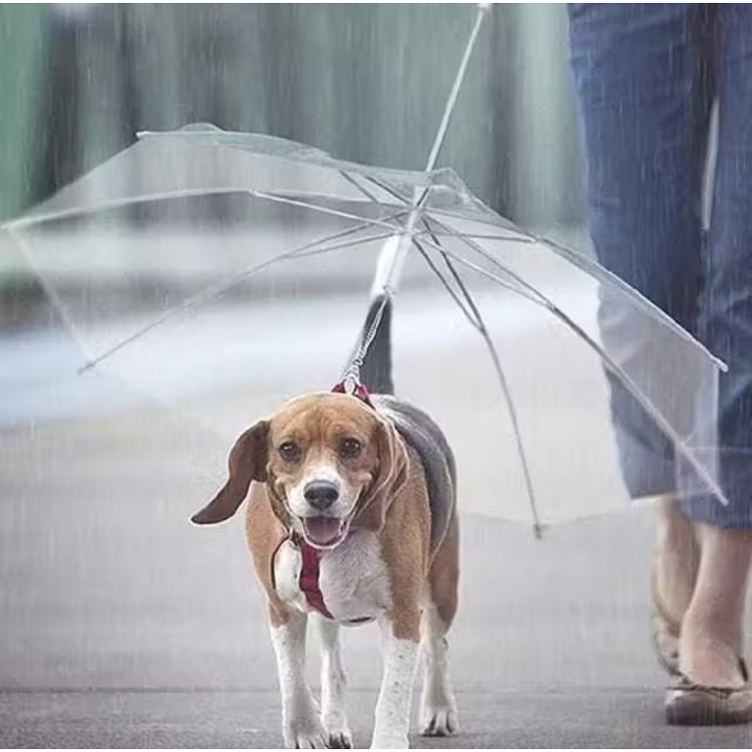 Guarda Chuva Pet