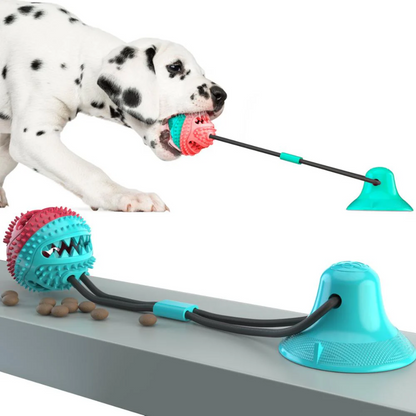 Brinquedo Bola para Mordidas com Base de Sucção para Cães