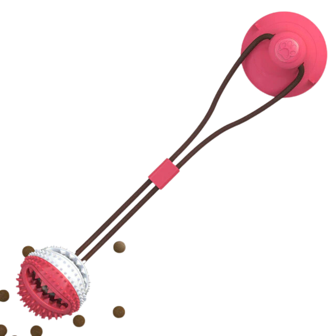 Brinquedo Bola para Mordidas com Base de Sucção para Cães