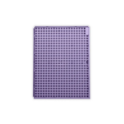 PIPI DOLLYS CANDY COLOR LILAS