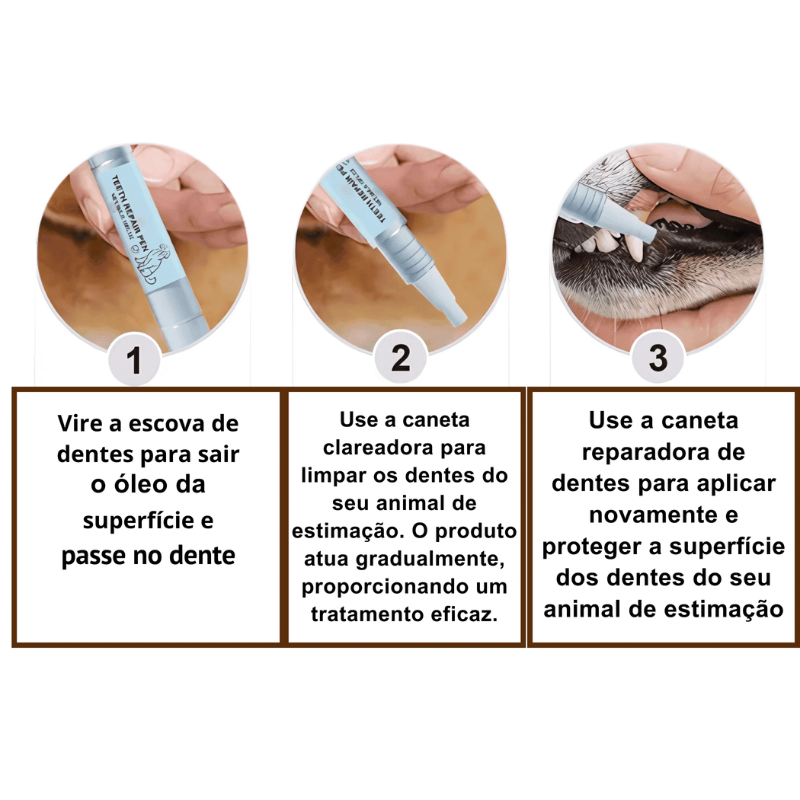 Caneta Anti Tartaro