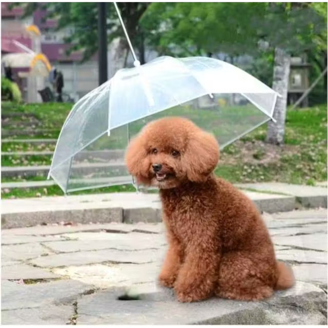Guarda Chuva Pet